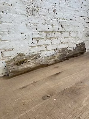 Waney Edge Live Edge Air Dried Yew Boards Planks Slabs River Table • £29