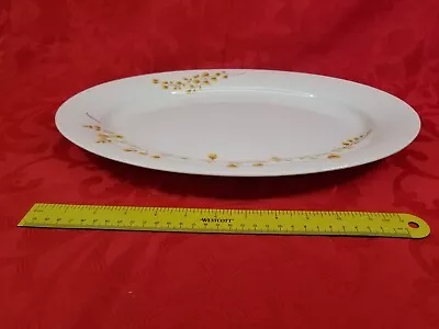 Martha Stewart Collection Maidenhair Fern Yellow 16 1/2 In Oval Serving Platter • $16.27