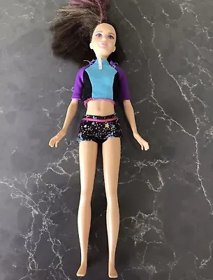 Barbie Life In The Dreamhouse - The Amazing Chase - SKIPPER Surfing Doll • $15