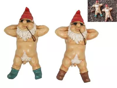 Naughty Nudie Garden Gnome Deco Ornament Statue Figurine Sculpture 27cm GNOWILLY • $10