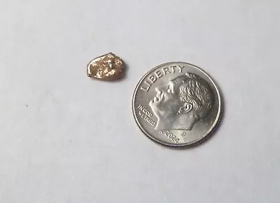 Natural Placer Gold Nugget .60 Grams Alaska Gold Low Starting Bid • $47