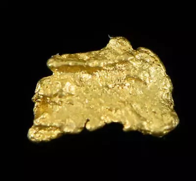 Natural Gold Nugget Australian .13 Gram Genuine • $17.53