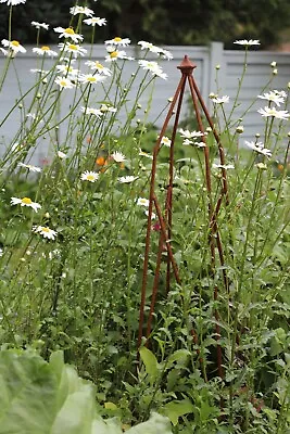 Square Garden Obelisk Rustic Metal Plant Support Rusty Garden Frame Trellis 1m • £42