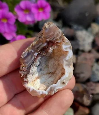 Sparking Mexican Geode Agate Tan 1.2oz Tabasco Geode • $12