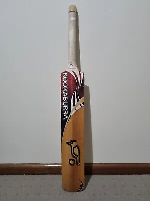 Kookaburra Crazy Beast Junior English Willow Cricket Bat • $74.99