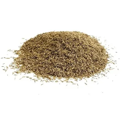 LAWN GRASS SEED 1KG SHADY AREA SEED MIX (20 SQ/M) From Maltbys Stores 1904 Ltd. • £9.99