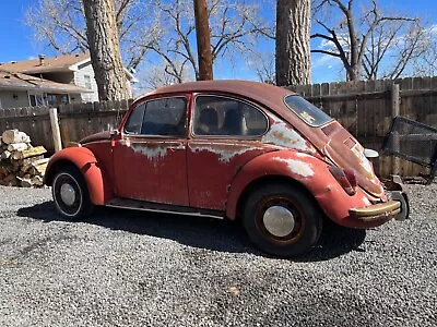 1969 Volkswagen Beetle - Classic  • $600