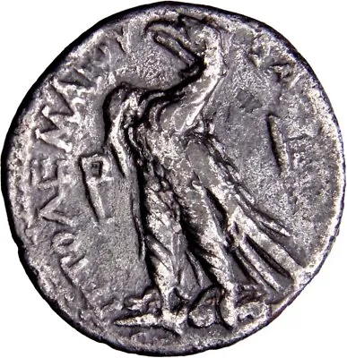 Ptolemaic Kingdom Egypt Silver Ptolemy VI Philometor AR Didrachm VERY RARE W/COA • £306.18