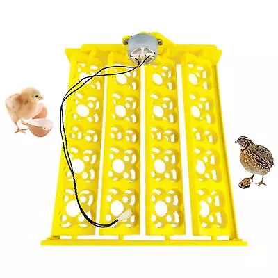 Automatic Egg Incubator Tray Egg Turner Turning Tray For Quail Chicken • £16.90