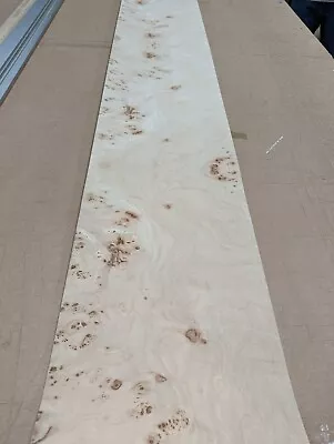 Mappa Burl Wood Veneer Sheet 12  X 96  With Paper Backer PSA Peel Stick Adhesive • $200