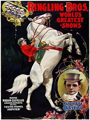 Vintage Advert Circus Ringling Bros Castello Jupiter Poster Art Print Bb12722a • $28.04