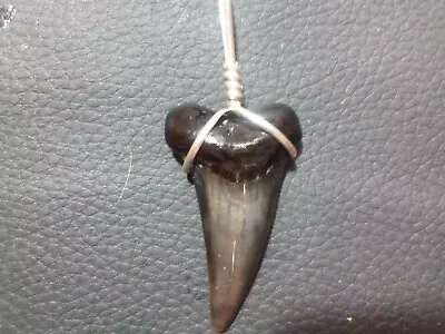 1.6 Beautiful Mako Sharks Tooth Pendant With Sterling Silver Hand Wrap • $19.99