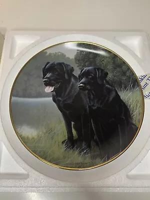 £14.99 • Buy SPORTING COMPANIONS FRANKLIN MINTPlate Black Labrador Retriever By Nigel Hemming