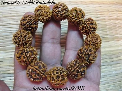 5 Mukhi Rudraksha /Five Face Rudraksh Bracelet ~ 18-20 MM ~Nepal Bead ~Energized • $13.90
