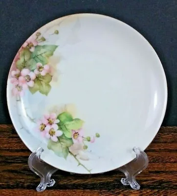 Vintage MORITZ ZDEKAUER Plate Hand Painted Pink Apple Blossoms Porcelain Austria • $17.97