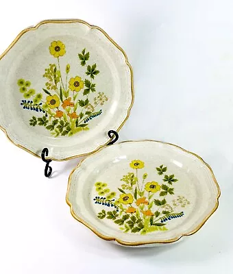 2 Mikasa Garden Club Dinner Plates Fresh Floral Stoneware 10 3/4  Vintage C400 • $17.95