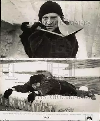 1977 Press Photo Actor Richard Harris In Scenes From  Orca  Movie - Sab08338 • $16.99