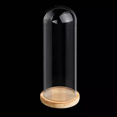 £10.99 • Buy Glass Dome With Wooden Base Cloche Bell Jar DIY Decor Display Stand Cover 9x25cm