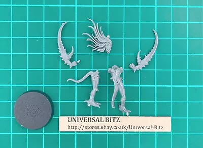 Daemonette Champion B Daemonettes Of Slaanesh Single Chaos Warhammer 40K R4 B • $7.45