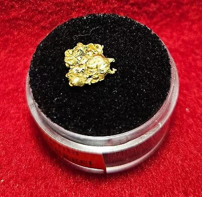 California Natural Gold Nugget 1.2 Grams In A Gem Jar W/lid • $97