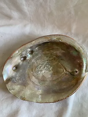 Exquisite Natural Abalone Shell For Trinkets Display Smudge Bowl • £9.65