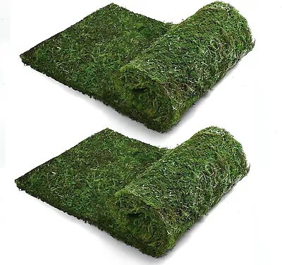 NEW 2 Pcs Dried Moss Table Runner Sheets Each 12 X 71 Inches. Aqueenly Brand • $25
