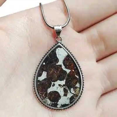 PALLASITE Meteorite Pendant Meteorite Slice Necklace TB90 • $68.64