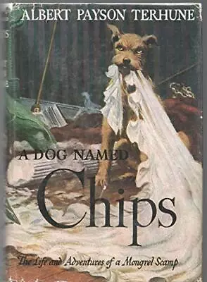 A Dog Named CHIPS By ALBERT PAYSON TERHUNE Grosset Dunlap 1931 Reprint Hardc... • $25.26