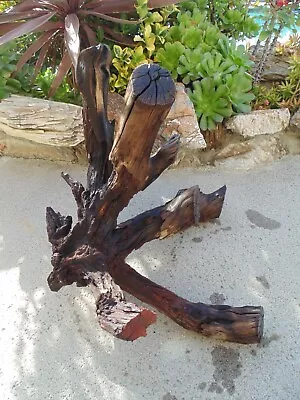 Driftwood Manzanita  X-LARGE Aquarium Terrarium Aquascape Reptile 'Holes' Root • $118