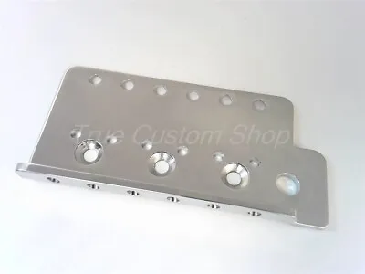 True Custom Shop® 2 1/16  Tremolo Plate For Fender Mexican Standard Strat • $8.97