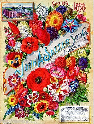 1898 Salzer Paradise Vintage Flowers Seed Packet Catalogue Advertisement Poster  • $10.49