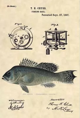 Sea Bass US Patent Art Print- Antique Vintage Saltwater Fishing Fish Art - 252 • $12.77