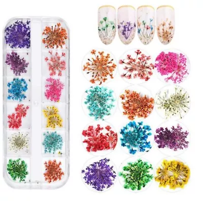 12-Color Real Dried Flowers Nail Art Set - 3D Decors DIY Manicure Tips Box • $7.40