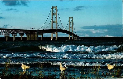 Postcard MI Mackinac Straits Bridge St. Ignace Mackinac City Great Lakes Seagull • $2