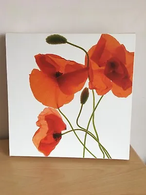 Laura Ashley Red Poppies Poppy Canvas Print Picture Wall Art Flowers • £24