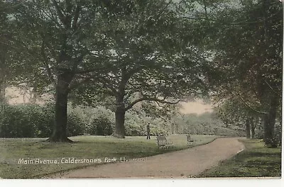 £4.75 • Buy Dale Series Postcard Main Avenue Calderstone Park Liverpool -1906 - Wavertree