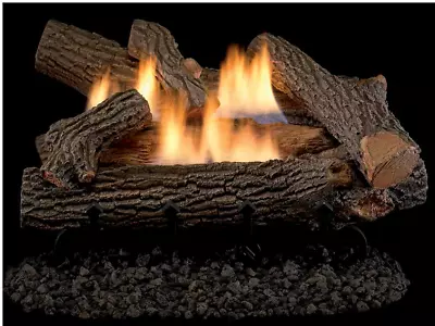 Astria Chestnut Hill 24  Log Set Dual Flame Vent Free- LOGS ONLY CHESTNUTH24 • $359