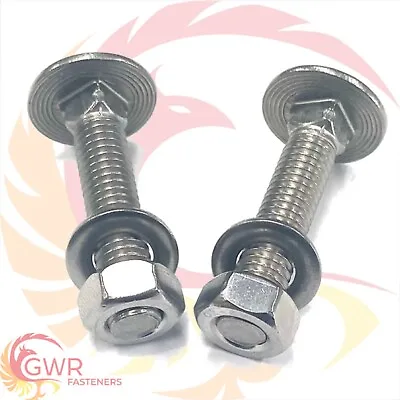 M5 M6 M8 Carriage Bolts Nuts Washers A2 Stainless Steel Cup Square Coach Screws • £4.94