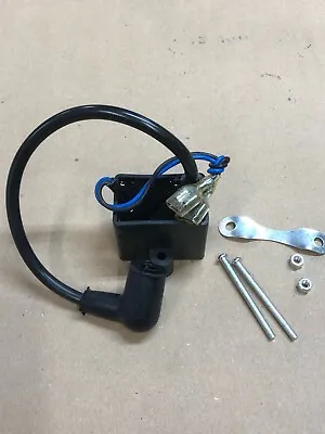 Motorized Bicycle 2 Stroke Engine Ignition CDI • $2.75