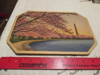 Vintage Washington D.C Travel Souvenir Cherry Blossom Trees Washington Monument • $7