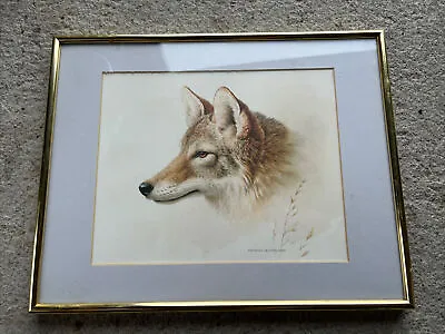 Michael Dumas Wolf/Coyote Print 1989 Framed • $100