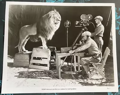 MGM Leo The Lion Recording Famous Roar Vintage Movie Studio Photo Publicity Pic • $45