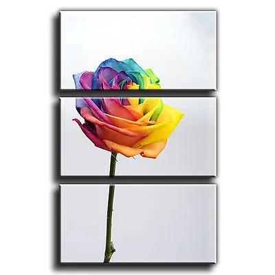 Rose Flower Floral Canvas 3 Panel Wall Art Print Picture 28 PREMIUM QUALITY • £38.49