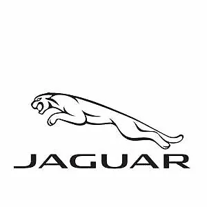 Jaguar Logo Window VINYL DECAL STICKER Car • $4