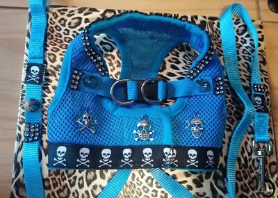Dogs Harness & Lead Size Small / Designer Blue &silver Skull & Studs Vest Style • £13.99
