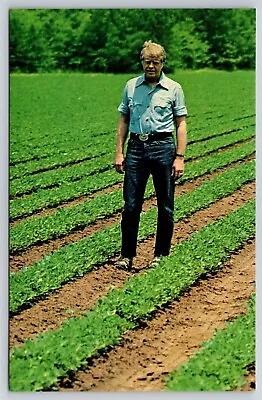 Postcard President Jimmy Carter Surveys Peanut Fields AO1 • $3.99