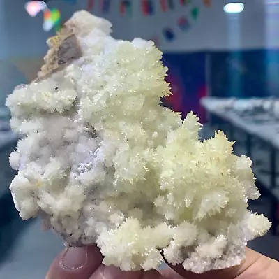 255G Museum Quality White Flowery Hydrozincite Crystal Cluster Mineral Specimen • $80.60