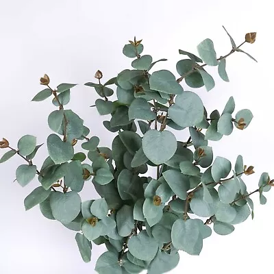 Eucalyptus Long Spray 110cmH Australia Native Greenery Flower Decor • $9.90