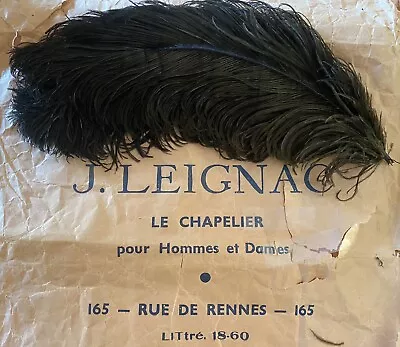 $150 • Buy French 1920s Black Ostrich Feathers; Excellent Condition.