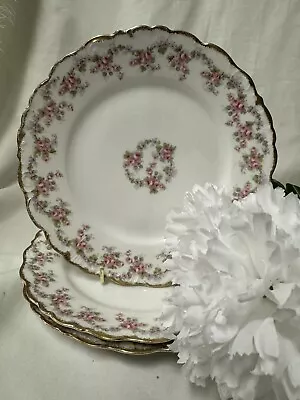 (3) Elite Works/Bawo & Dotter France 'Bridal Wreath' 7.5 Inch SALAD PLATES • £38.61